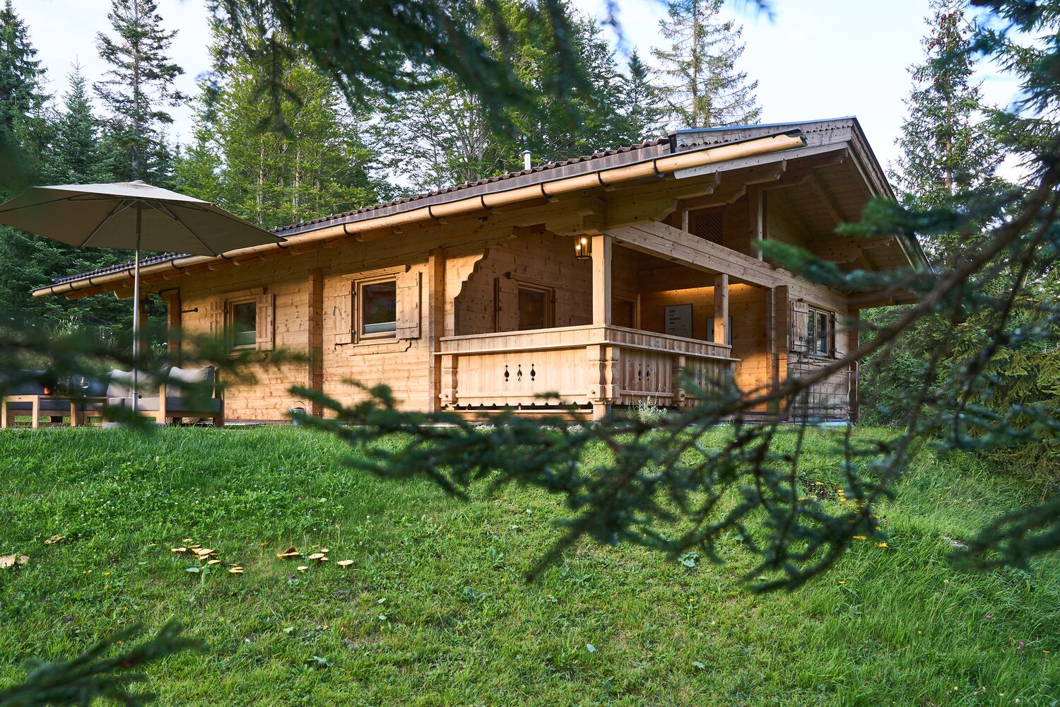 Das Chalet im Sommer auf der Wiese am Waldrand, im warmen Abendlicht